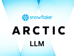 Arctic LLM