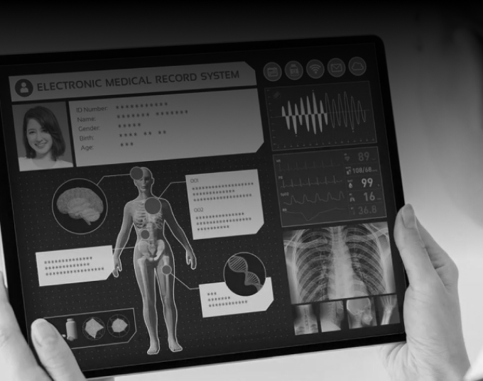 daring-revolution-insurance-case-study